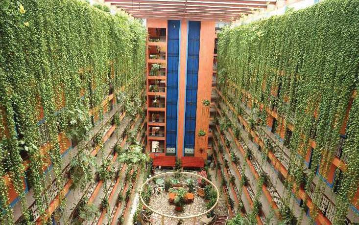 Hotel Acapulco Tortuga Eksteriør billede